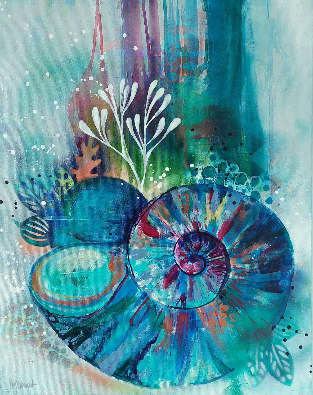 Nautilus