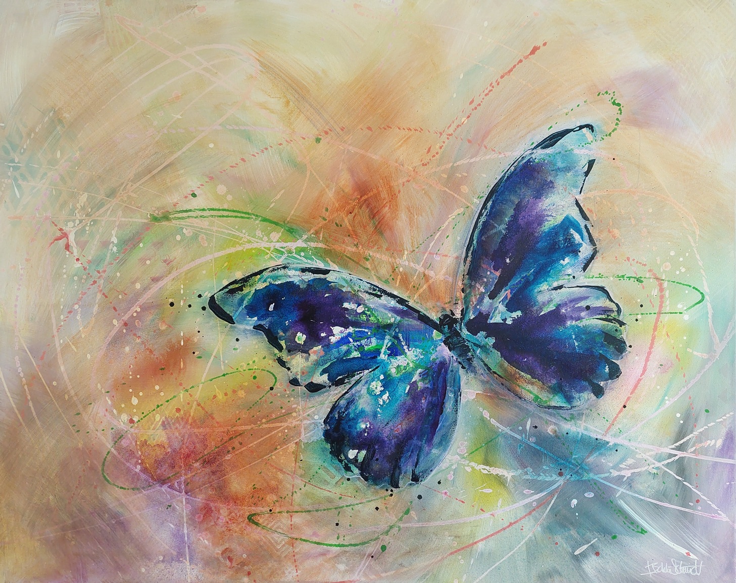 Colorful morpho butterfly